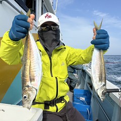 4月 14日(火)午後便・アジ釣りの写真その4