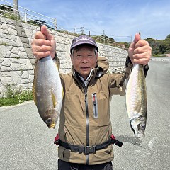 4月14日（火）午前便・アジ釣りの写真その1