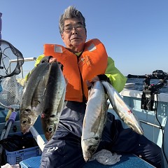 4月 16日（木）午後便・アジ釣りの写真その2