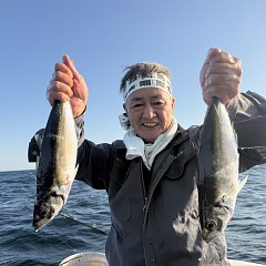 4月 16日（木）午後便・アジ釣りの写真その4