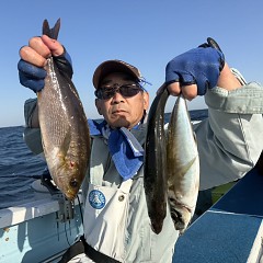 4月 16日（木）午後便・アジ釣りの写真その5