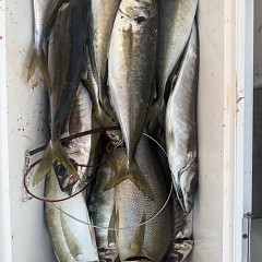 4月 16日（木）午後便・アジ釣りの写真その2