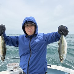 4月 17日（金）午前便・アジ釣りの写真その2