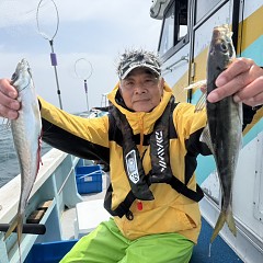 4月 17日（金）午前便・アジ釣りの写真その3