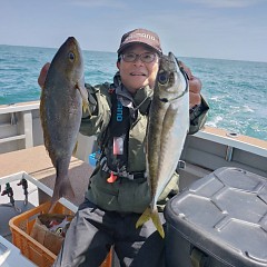 4月18日（土）午前便・アジ釣りの写真その1