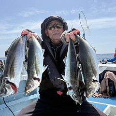4月18日（土）午前便・アジ釣りの写真その3