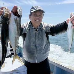 4月18日（土）午前便・アジ釣りの写真その6