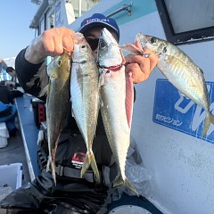 4月18日（土）午後便・アジ釣りの写真その4