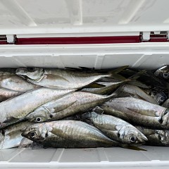 4月18日（土）午後便・アジ釣りの写真その9