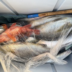 4月18日（土）午後便・アジ釣りの写真その11