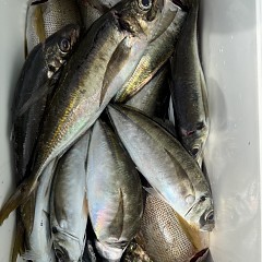 4月 19日（日）午前便・アジ釣りの写真その11