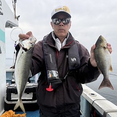 4月 19日（日）午後便・アジ釣りの写真その5