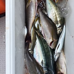 4月 19日（日）午後便・アジ釣りの写真その8