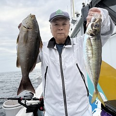 4月 20日（月）午後便・アジ釣りの写真その4