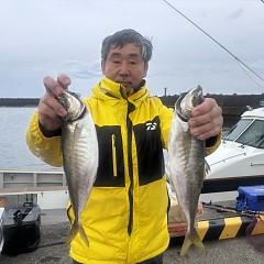 4月 24日（金）午後便・アジ釣りの写真その9