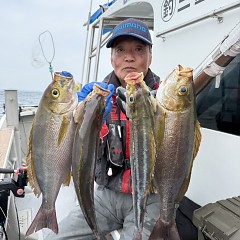 4月25日（土）午前便・アジ釣りの写真その1