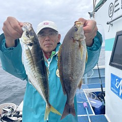 4月 26日（日）午後便・アジ釣りの写真その1