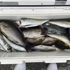 4月 26日（日）午後便・アジ釣りの写真その7