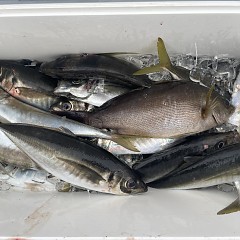 4月 26日（日）午後便・アジ釣りの写真その8