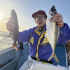 4月 27日（月）午後便・アジ釣りの写真その4