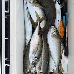 4月 27日（月）午後便・アジ釣りの写真その7