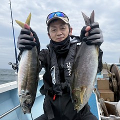 4月 29日（水）午前便・アジ釣りの写真その1