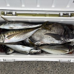 4月29日（水）午前便・午後便・アジ釣りの写真その5