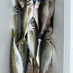 4月 30日（木）午前便・アジ釣りの写真その11