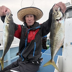 5月 2日（土）午後便・アジ釣りの写真その5