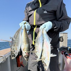5月2日（土）午前便・アジ・イサキ釣りの写真その6
