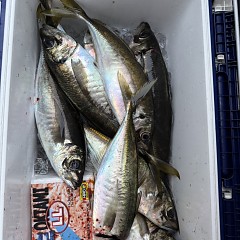 5月2日（土）午後便・アジ・イサキ釣りの写真その12