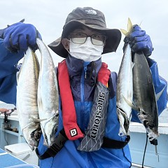 5月 3日（日）午前便・アジ釣りの写真その1
