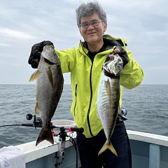 5月 3日（日）午前便・アジ釣りの写真その2