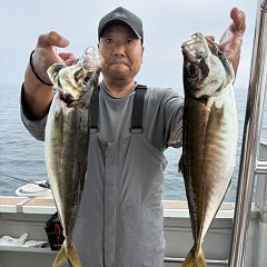 5月3日（日）午前便・アジ・イサキ釣りの写真その4