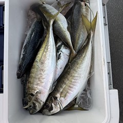 5月4日（火）午前便・アジ釣りの写真その4