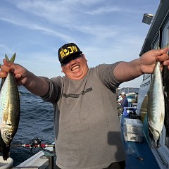 5月 5日（火）午後便・アジ釣りの写真その5