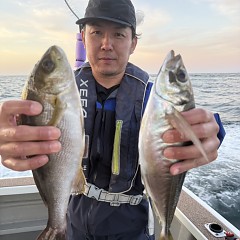 5月5日（火）午前・午後便・アジ釣りの写真その8