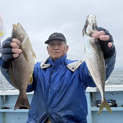 5月 6日（水）午後便・アジ釣りの写真その4