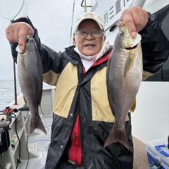 5月 6日（水）午前便・アジ釣りの写真その3