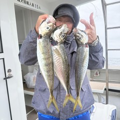 5月 6日（水）午前便・アジ釣りの写真その6