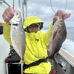 5月 6日（水）午前便・アジ釣りの写真その7