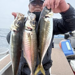 5月 6日（水）午後便・アジ釣りの写真その7