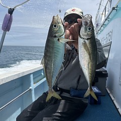 5月 7日（木）午前便・アジ釣りの写真その4