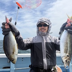 5月 9日（土）午前、午後・アジ釣りの写真その4