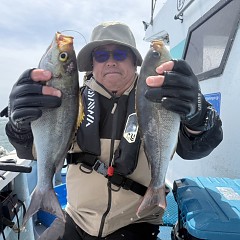 5月 9日（土）午前、午後・アジ釣りの写真その5