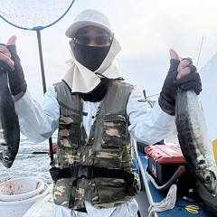 5月 13日（水）午後便・アジ釣りの写真その4