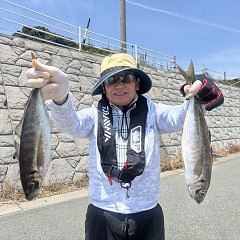 5月13日（水）午前便・アジ釣りの写真その2