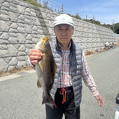 5月13日（水）午前便・アジ釣りの写真その3