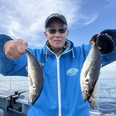 5月 14日（木）午後便・アジ釣りの写真その5