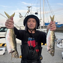 5月 14日（木）午後便・アジ釣りの写真その2